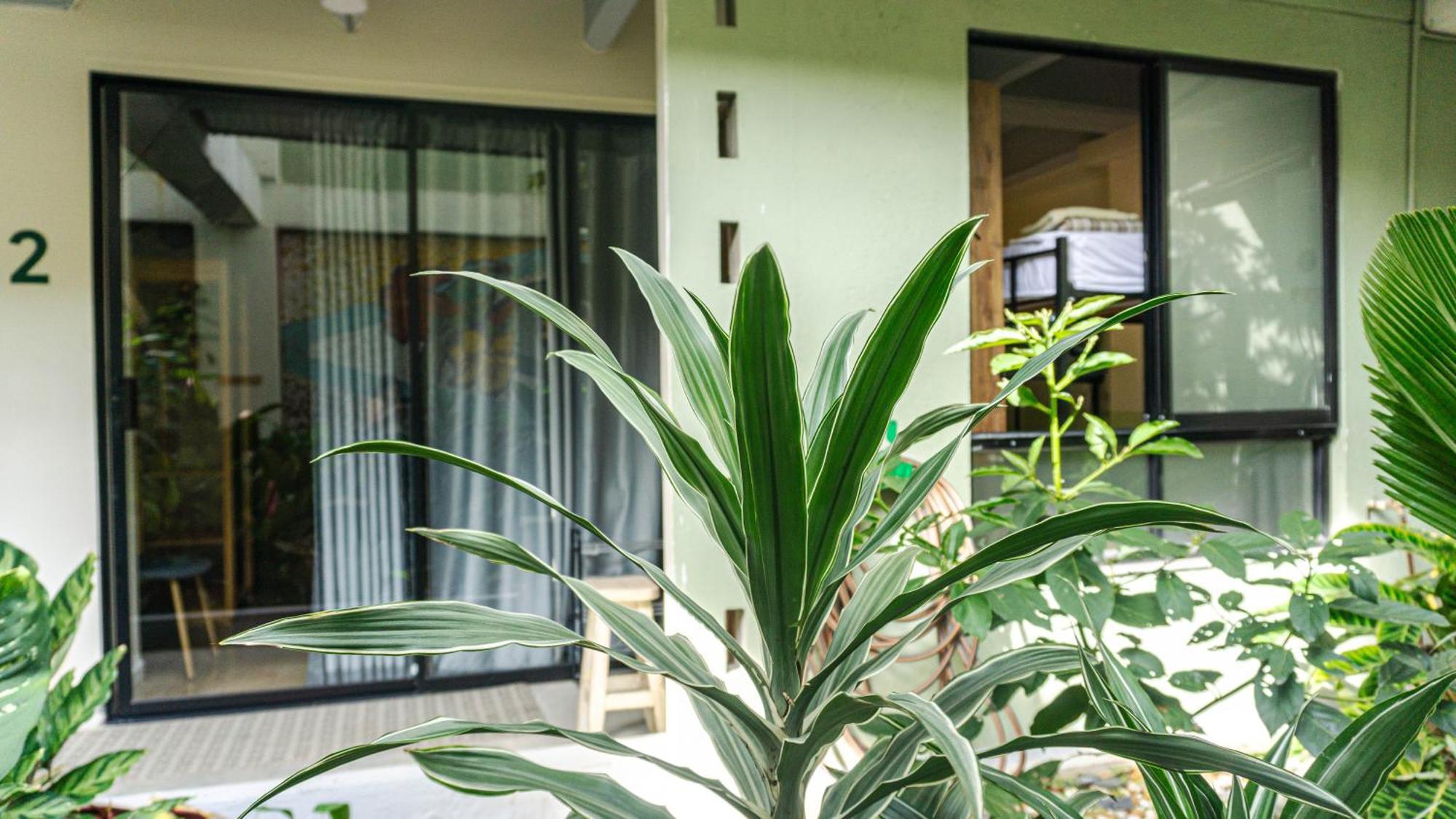 Bed and Breakfast Selva House Medellín Exterior foto